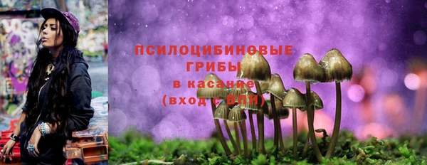 СК Баксан